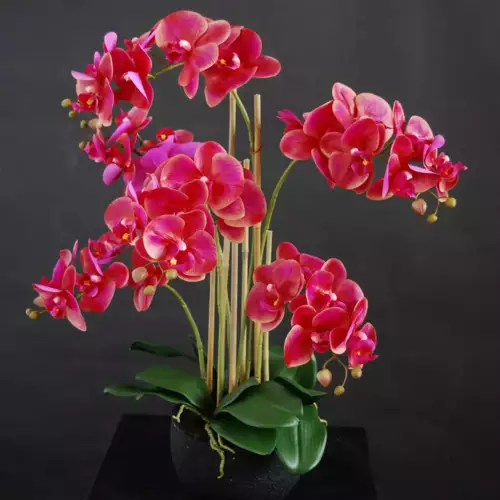 Orchid-Phalaenopsis-Foam-Base-70-cm-Purple-5684PUR-scaled