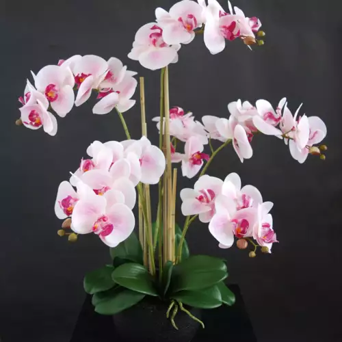 Orchid-Phalaenopsis-Foam-Base-70-cm-Pink-5684PNK-scaled