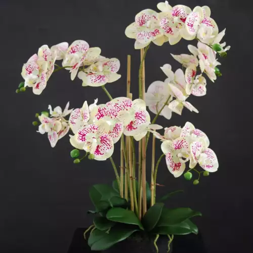 Orchid-Phalaenopsis-Foam-Base-70-cm-Leopard-5684LEO-scaled