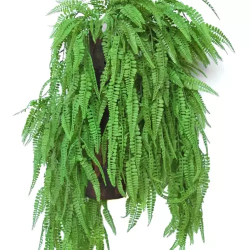 Hanging Fern Fabulosa 80 cm Green 5577000