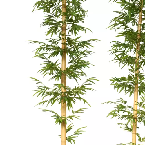 Bamboo Medium Single Tree cm 420 Green 1074014