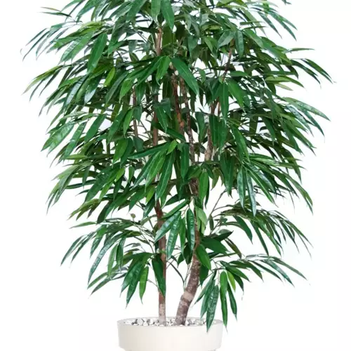 Longifolia Natural Style 180 cm Green V1058011