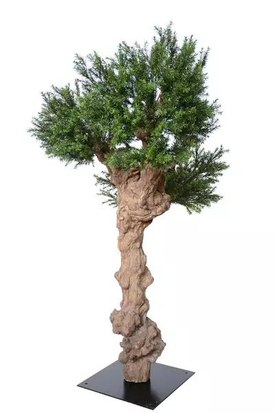 Pine Taxus Botero 190 cm Green 8105003