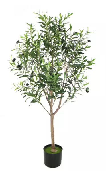 Olive Tree w pot 120 cm Green 5696GRN