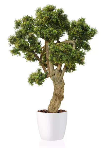 Boxwood Crown Mini 100 cm Green 5639004