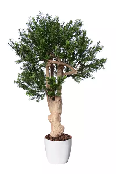 Pine Taxus Crown Mini 110 cm Green 8105002