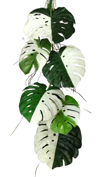 Monstera_Deliciosa_Garland_130_cm_Green_White_5641002-removebg-preview