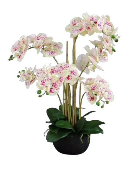 Orchid_Phalaenopsis_Foam_Base_70_cm_Leopard_5684LEO__1_-removebg-preview