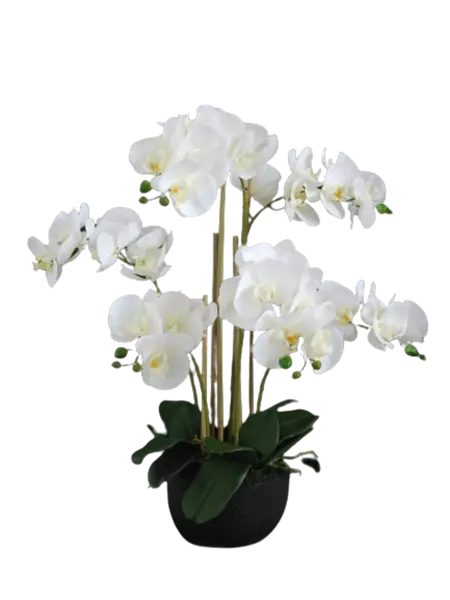 Orchid_Phalaenopsis_Foam_Base_70_cm_White_5684WHT-removebg-preview