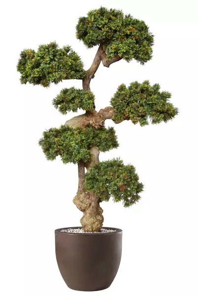 Boxwood Mini Pom Pom 190 cm Green V5639006