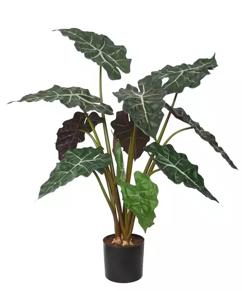 Alocasia Plant w pot 70 cm Green Red 5514GRD