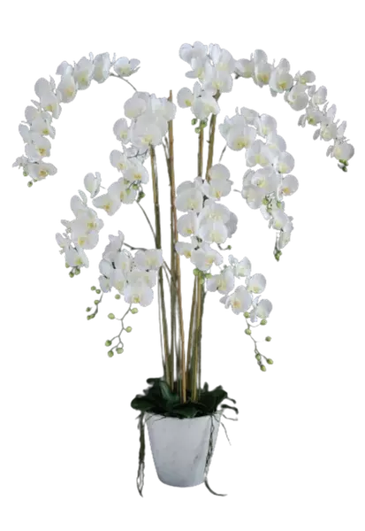 Orchid_Phalaenopsis_Fiber_Pot_160_cm_White_5683WHT-removebg-preview