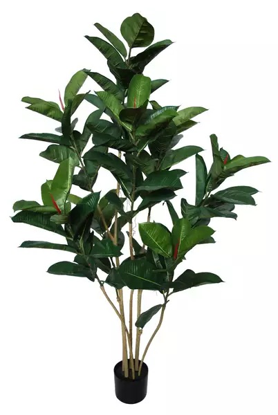 Ficus Elastica Flexy w pot 150 cm Green 5620GRN