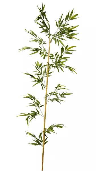 Bamboo Single Tree 240 cm Green 5667GRN