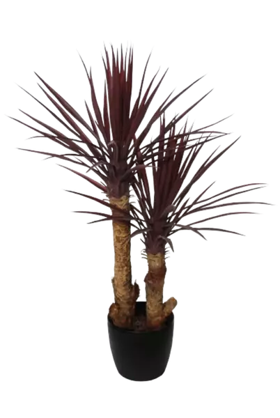 Yucca_Linearis_Set_x_2_100_cm_Burgundy_4231B04-removebg-preview