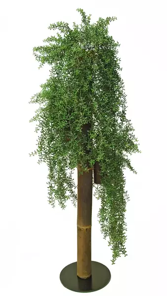 Hanging Senecio Column d 50 cm h 160 cm Green 5605002