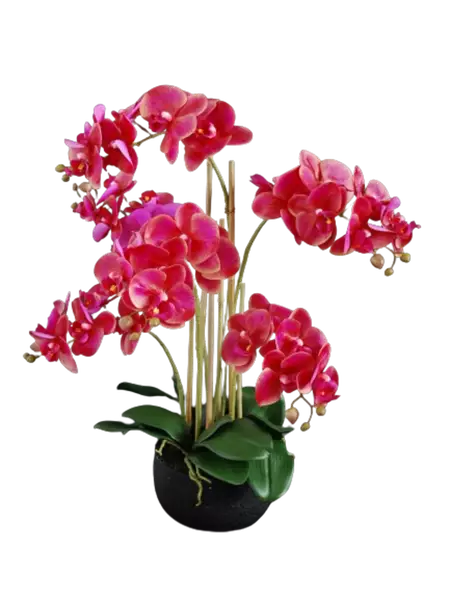 Orchid_Phalaenopsis_Foam_Base_70_cm__Purple_5684PUR-removebg-preview