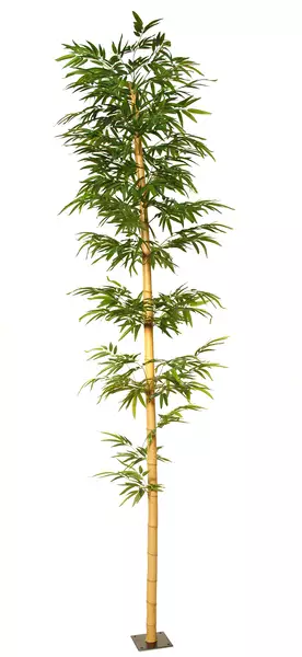 Bamboo Medium Single Tree 350 cm Green 1074013