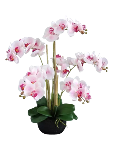 Orchid_Phalaenopsis_Foam_Base_70_cm_Pink_5684PNK-removebg-preview