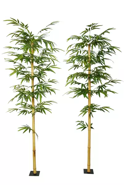 Bamboo Medium Single Tree 220 cm Green 1074011