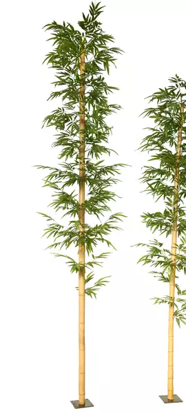 Bamboo Medium Single Tree cm 420 Green 1074014