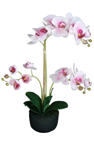 Orchid_Phalaenopsis_Foam_Base_50_cm_Pink_5686PNK-removebg-preview