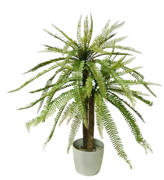 Fern_Valley_Plant_d_80_h_100_cm_Green_5615001-removebg-preview