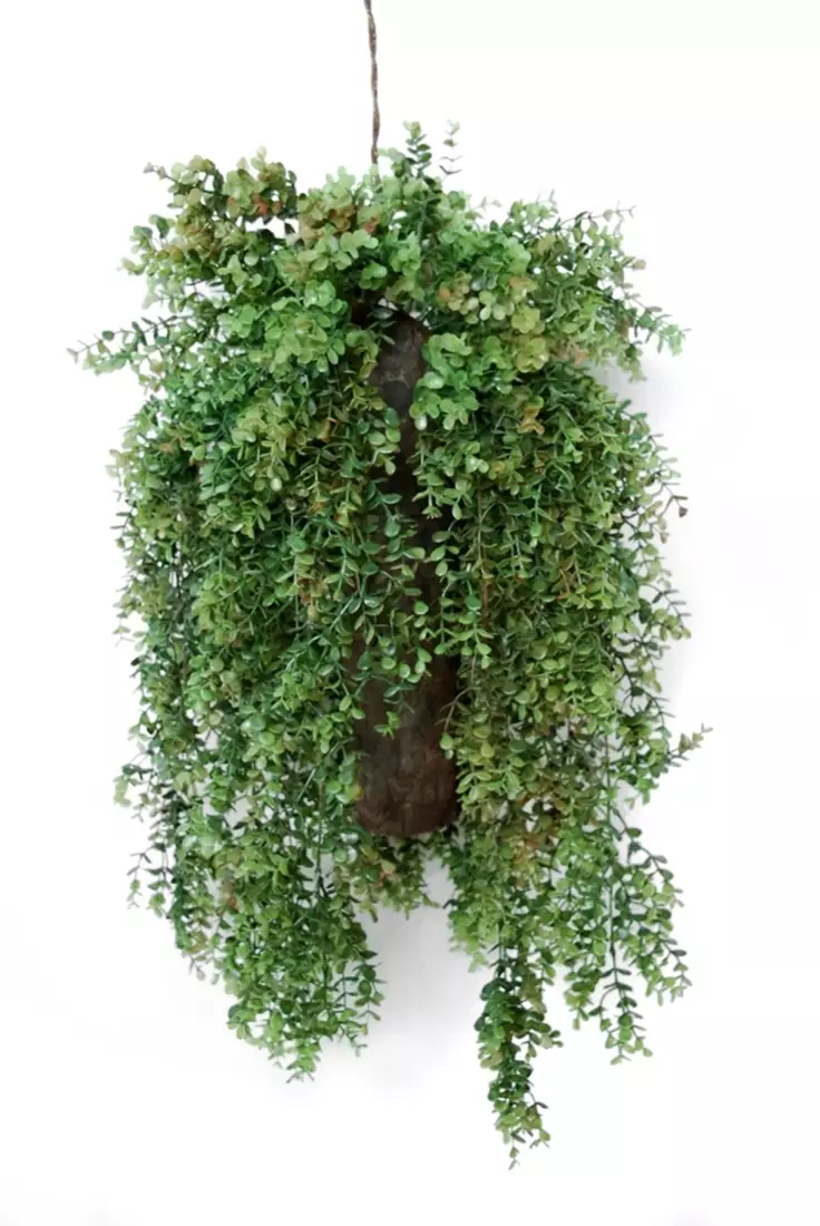 Hanging Boxwood 80 cm Green 5564000