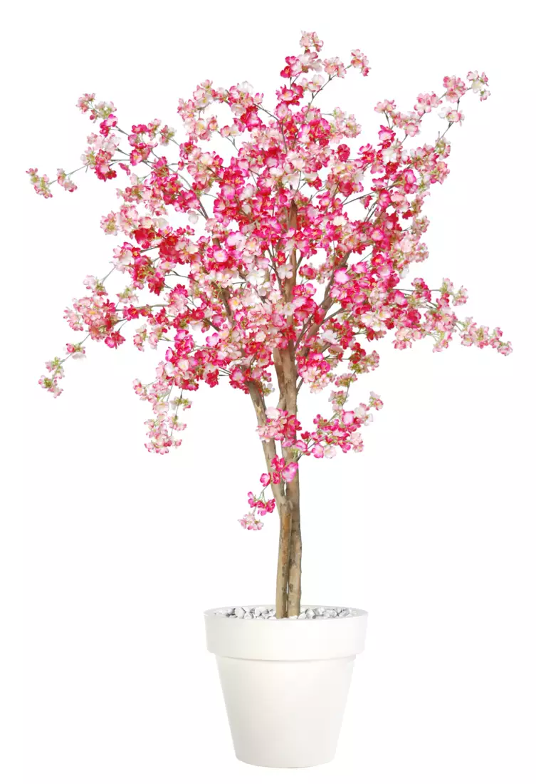 Cherry Wild Tree 150 cm Pink V1084P04