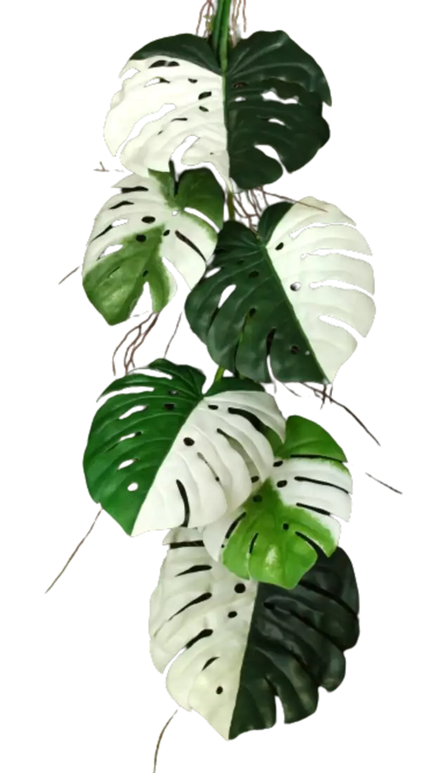 Monstera_Deliciosa_Garland_130_cm_Green_White_5641002-removebg-preview