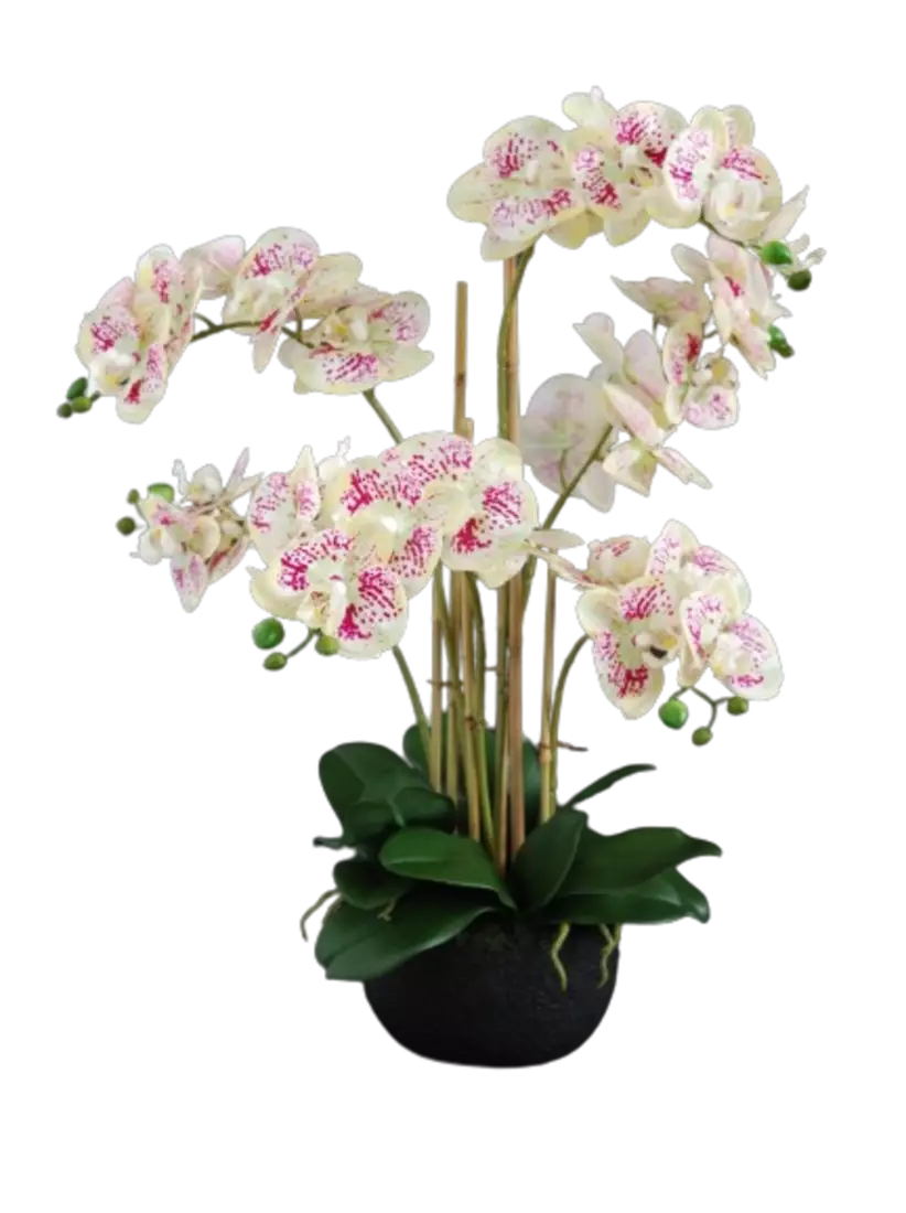 Orchid_Phalaenopsis_Foam_Base_70_cm_Leopard_5684LEO__1_-removebg-preview