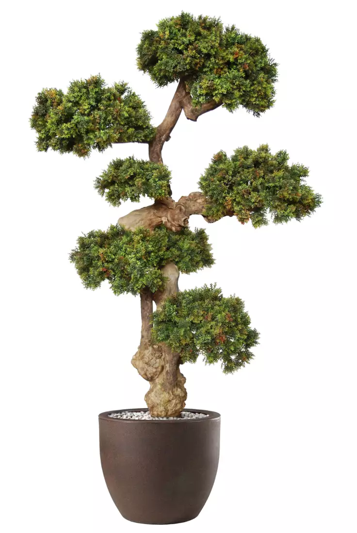 Boxwood Mini Pom Pom 190 cm Green V5639006