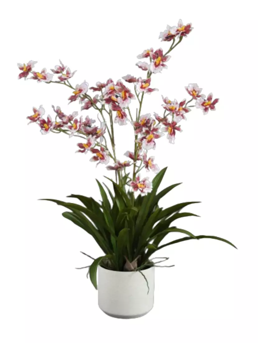 Orchid_Dancing_Fiber_Pot_70_cm_Pink_5681PNK-removebg-preview