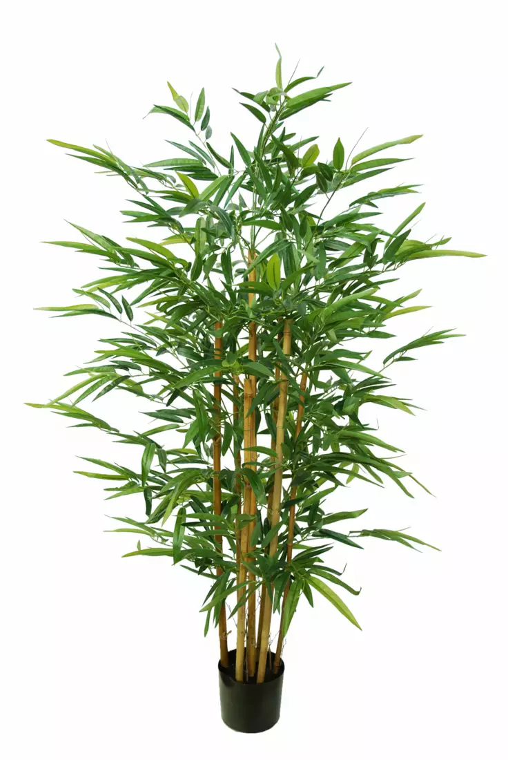 Bamboo Arrangement 150 cm w pot Green 5665GRN