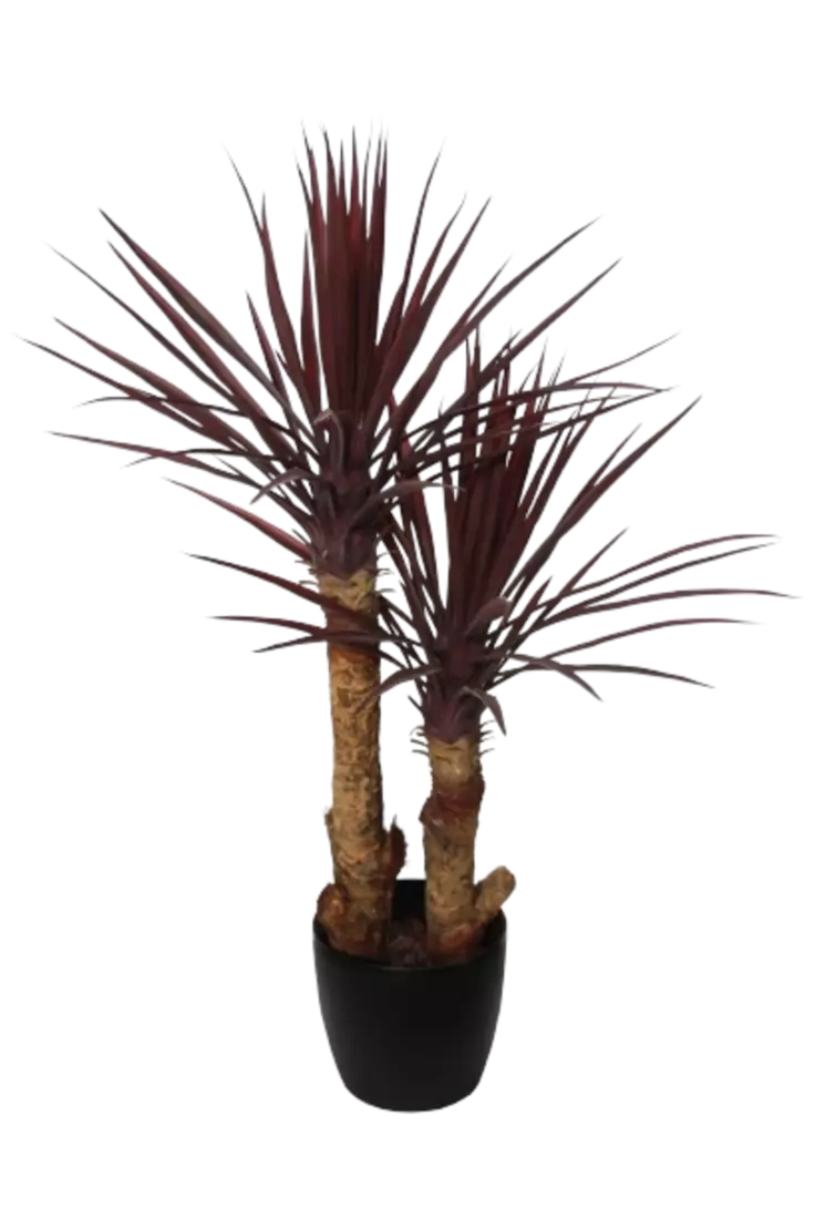 Yucca_Linearis_Set_x_2_100_cm_Burgundy_4231B04-removebg-preview