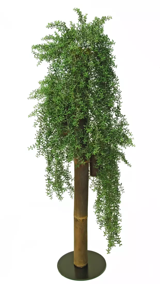 Hanging Senecio Column d 50 cm h 160 cm Green 5605002