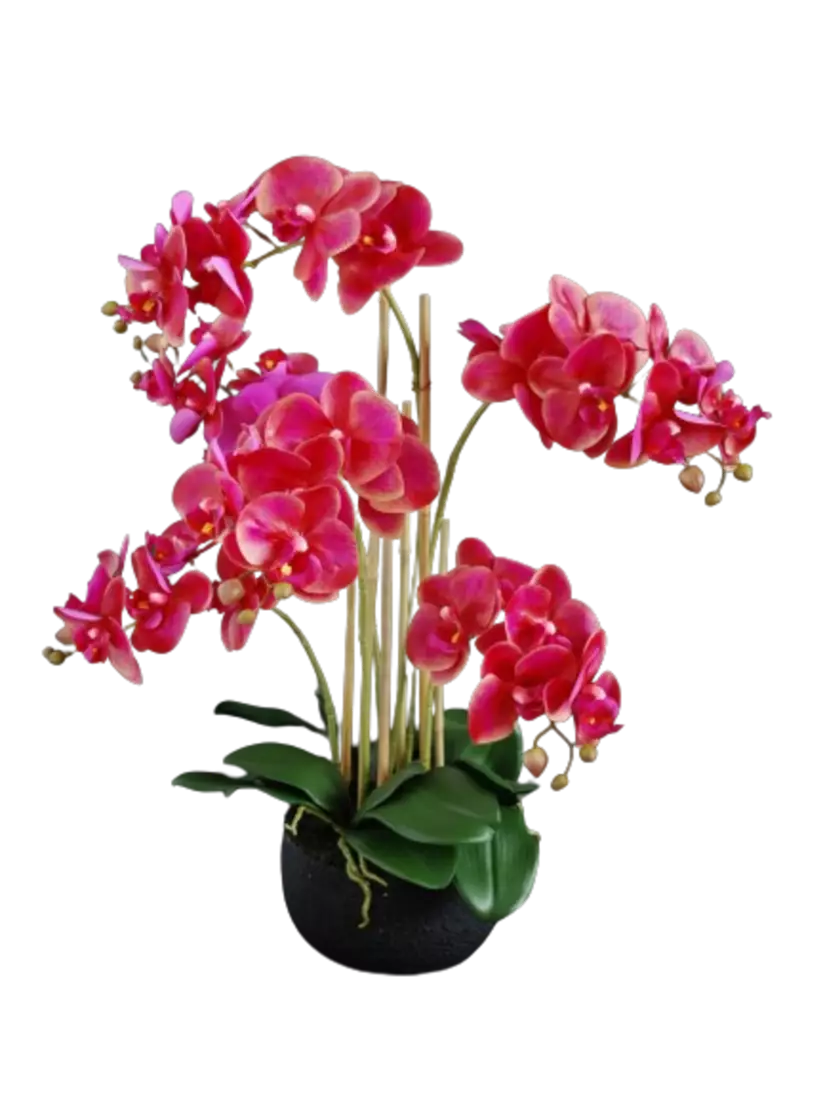 Orchid_Phalaenopsis_Foam_Base_70_cm__Purple_5684PUR-removebg-preview