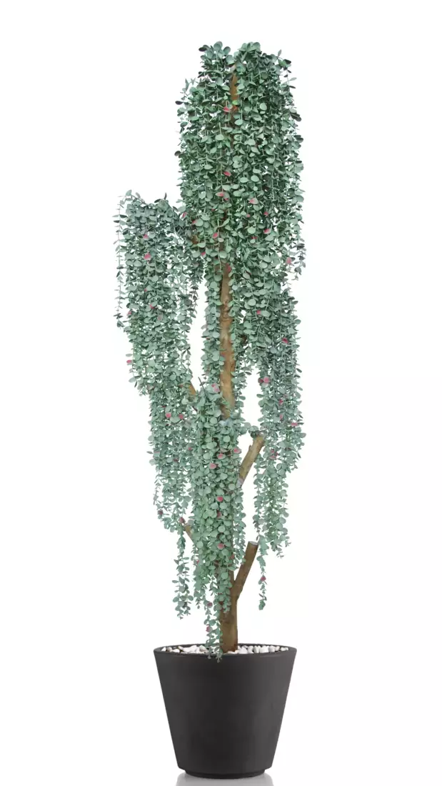 Eucalypthus Hanging Step Tree 210 cm Silver V5634S01