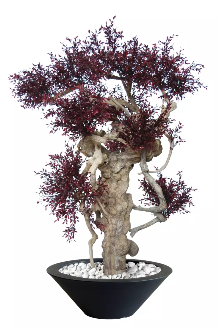 Willow Botero 180 cm Purple V5653002