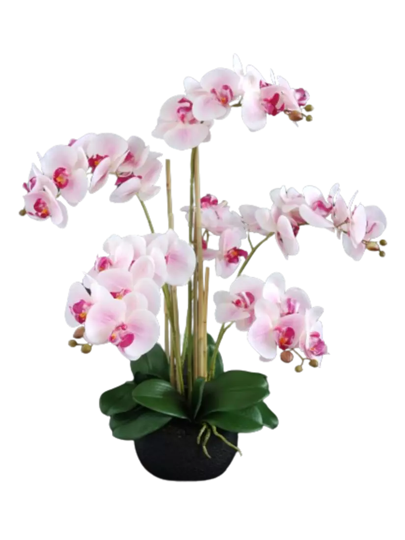 Orchid_Phalaenopsis_Foam_Base_70_cm_Pink_5684PNK-removebg-preview