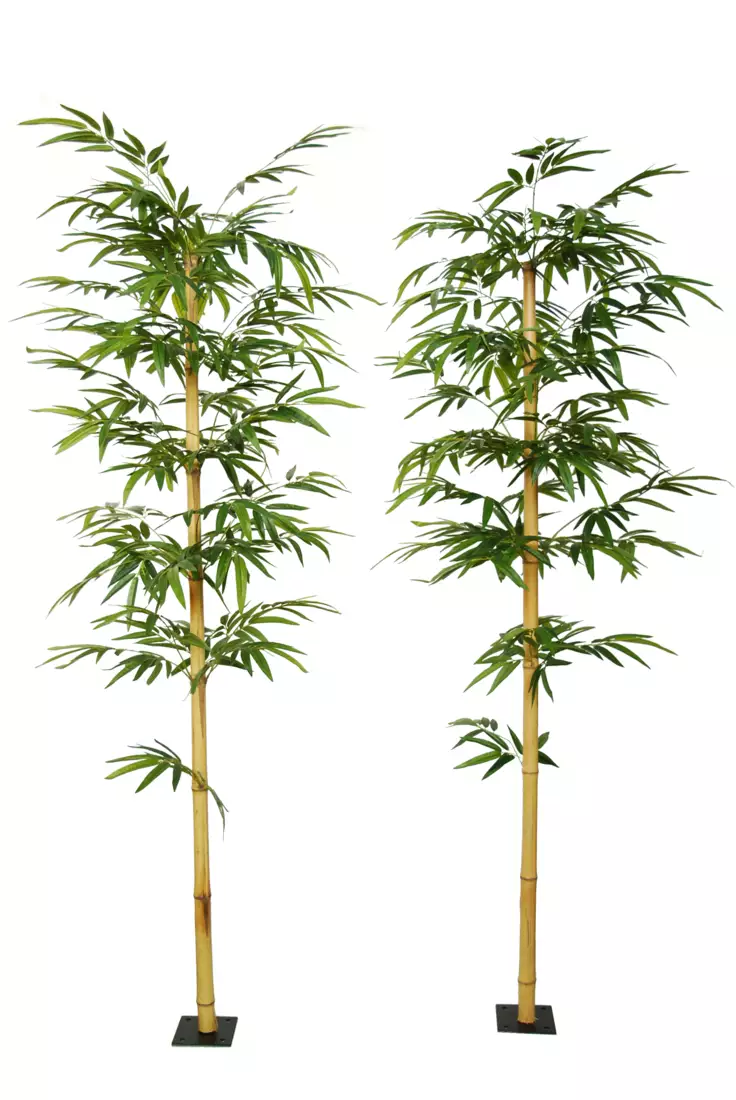 Bamboo Medium Single Tree 220 cm Green 1074011