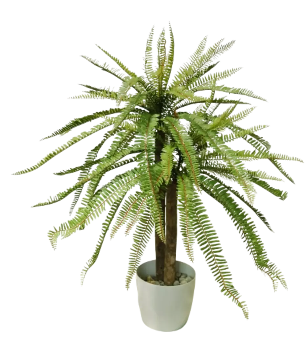 Fern_Valley_Plant_d_80_h_100_cm_Green_5615001-removebg-preview